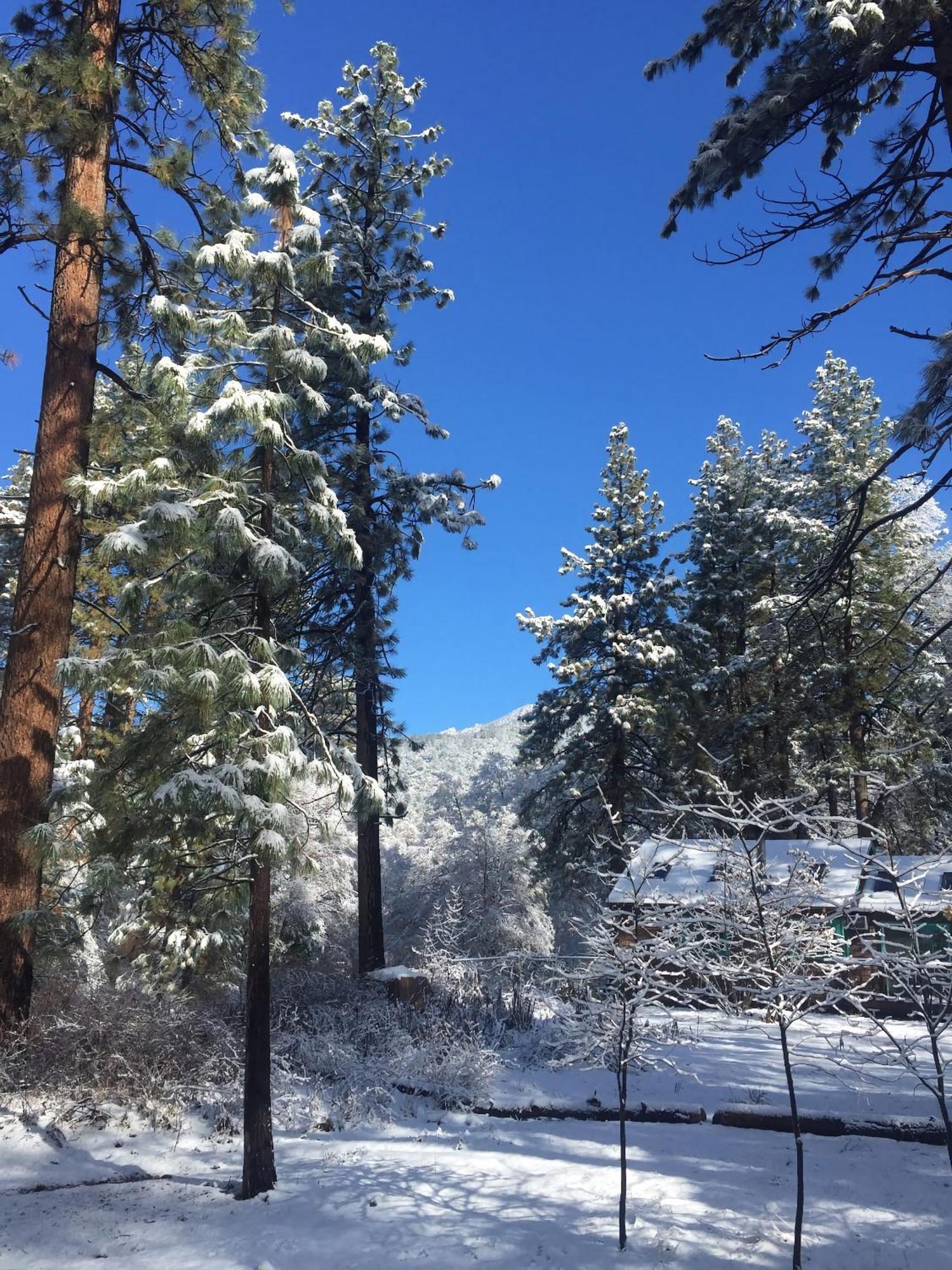 Ahwahnee-Be Vintage Cabin - Walk To Town! Idyllwild Exterior photo