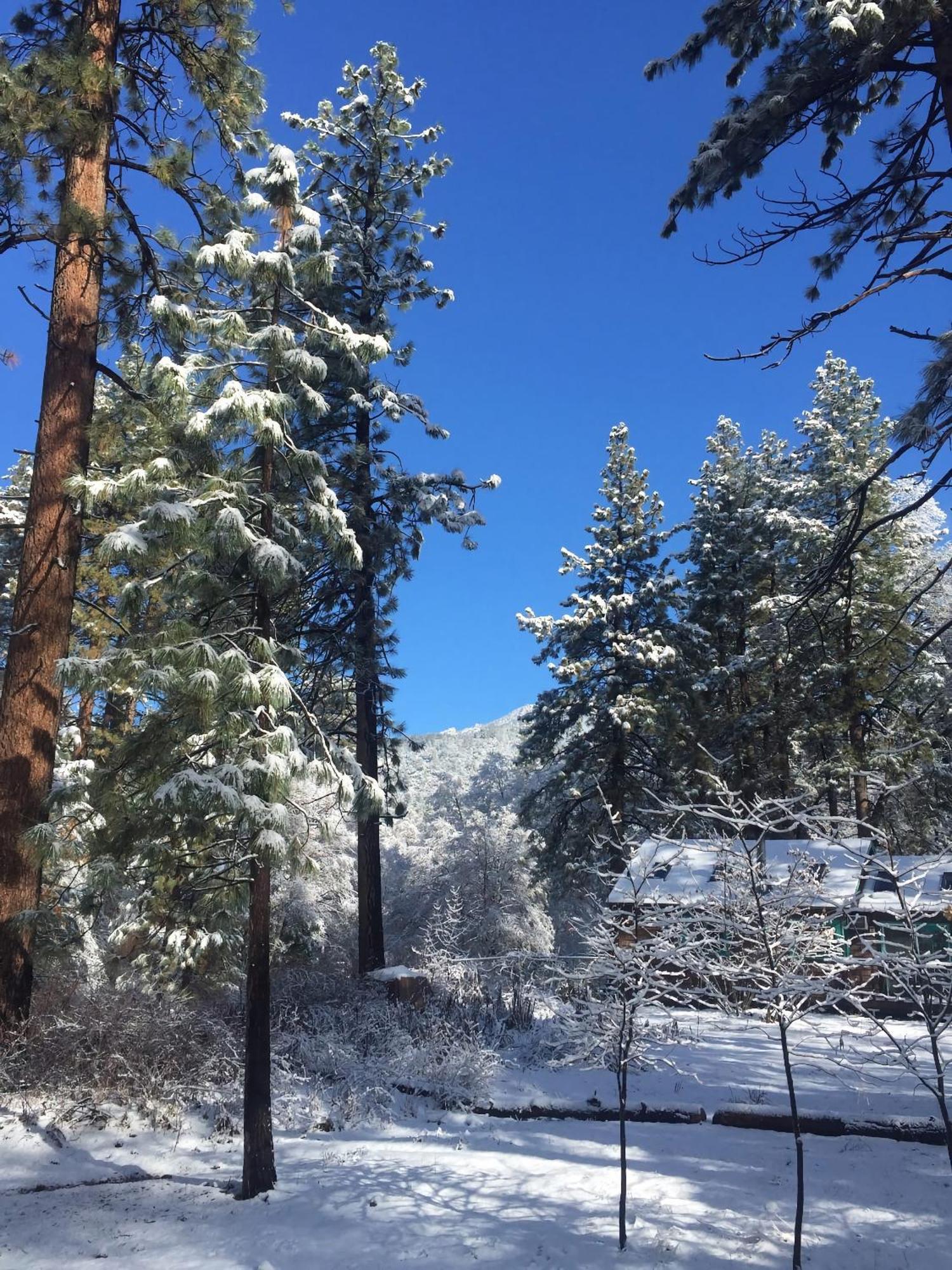 Ahwahnee-Be Vintage Cabin - Walk To Town! Villa Idyllwild Exterior photo