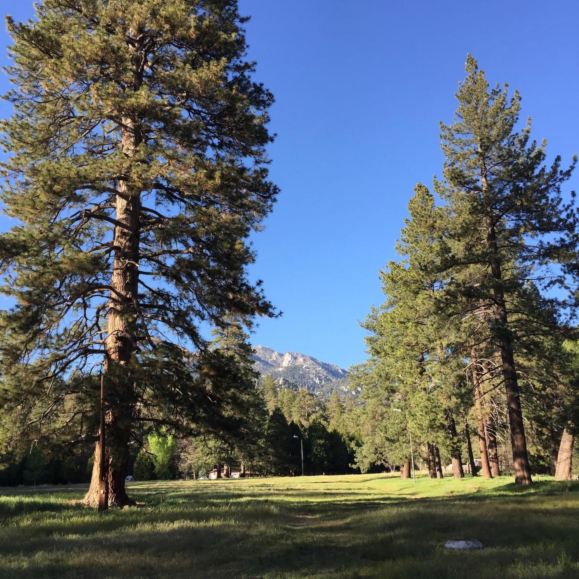 Ahwahnee-Be Vintage Cabin - Walk To Town! Villa Idyllwild Exterior photo